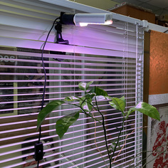 Светильник Espada E-CAPECR27 на присоске с выключателем