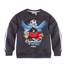 Свитшот Bossa Nova для мальчика Angry Birds размер 32 рост 116 см
