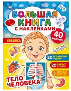 Альбом наклеек УМка Тело человека большая книга с наклейками