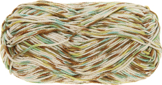 Пряжа Schachenmayr Originals. Catania Color, 125 м, 50 г, цвет: 00204
