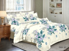 Комплект постельного белья Cleo Art Color Полутораспальное cl830393