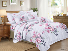 Комплект постельного белья Cleo Art Color Полутораспальное cl827829