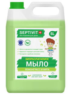 Жидкое мыло для рук Лемонграсс и мята Septivit Premium 5л