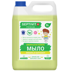 Жидкое мыло для рук Имбирь и бергамот Septivit Premium 5л