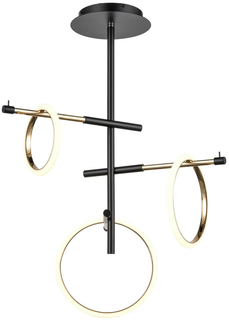 Потолочная люстра на штанге светодиодная с кольцом Vele Luce Bellezza 10038 VL7262L03