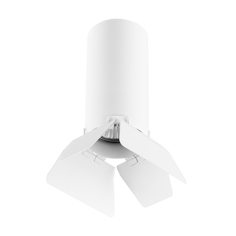 Точечный светильник накладной белый Lightstar Rullo R486436