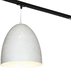 Однофазный трековый светильник подвесной Loft Port Chester LSP-9891-TAB