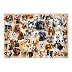 Пазл Castorland Породы собак, коллаж, 1500 элементов