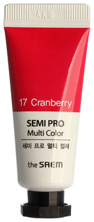 Тени для век The Saem Semi Pro Multi Color 17 Cranberry 5 мл