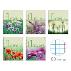 Тетрадь Альт 404123 80л клетка 5 видов