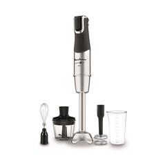 Погружной блендер Moulinex InfinyForce Pro DD95HD10 Black/Silver