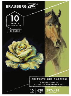 Альбом для пастели Brauberg Art 5+5 листов 105924