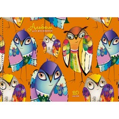 Альбом Unnika Land АСБ201901 Яркие совы 20л 110 г/м Евроспираль