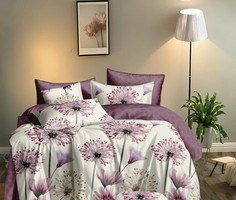 Постельное белье Sleeping Place Поплин 100% хлопок 348П-145-50 1,5 сп. 50х70 (2 шт)