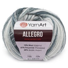 Пряжа YarnArt Allegro 50г, 145м (748 секционный), 10 мотков