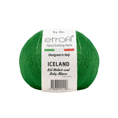 Пряжа Etrofil ICELAND 50г, 250м (70419 зелёный), 10 мотков