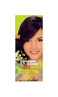 Краска для волос FIONA Creative color тон 4.3 Темная вишня
