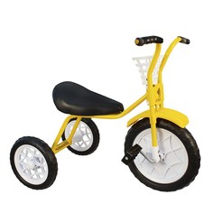 Велосипед детский трехколесный Зубренок Dream Makers 526-611YW