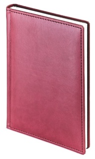 Ежедневник Альт 3123/02 VELVET датированный на 2022 год