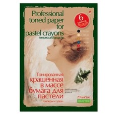 Бумага Альт 4-092 А4 для пастели гуаши и темперы 210х297 мм 20 листов 6 цветов