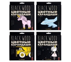 Карандаши цветные ПЛАСТИКОВЫЕ "BlackWoodColor", 24 ЦВЕТА, 4 ВИДА. Цена за 1 набор. Bruno Visconti