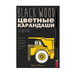 Карандаши цветные ПЛАСТИКОВЫЕ "BlackWoodColor", 18 цветов, 4 ВИДА. Цена за 1 набор. Bruno Visconti