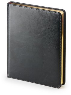 Ежедневник Альт Sidney Nebraska 3-496/02 недатированный А6 110х155 мм черный 272 стр