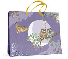 Пакет ГОРИЗОНТАЛЬНЫЙ L (32,5х26,0x13.0 см) "СОВЫ" матовая ламинация 2-131/4 Альт