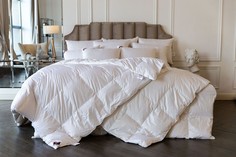 Одеяло German Grass gg794004 Royal Down Grass 200x150 см