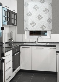 Рулонная штора DELFA MINI Футура СРШ-01М 2910 Белый/серебро 68x170 см
