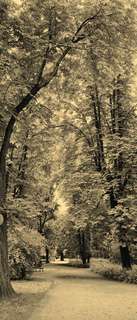 Самоклеющиеся фотообои "Аллея в летнем парке", 90x210 см, эффект сепия, отраженный Фотообои.РФ