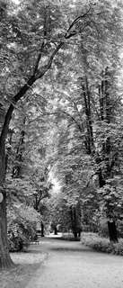 Самоклеющиеся фотообои "Аллея в летнем парке", 90x210 см, эффект черно-белый, отраженный Фотообои.РФ