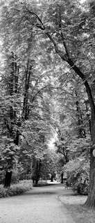 Самоклеющиеся фотообои "Аллея в летнем парке", 90x210 см, эффект черно-белый Фотообои.РФ