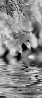 Самоклеющиеся фотообои "Осенний ручей", 90x210 см, эффект черно-белый, отраженный Фотообои.РФ