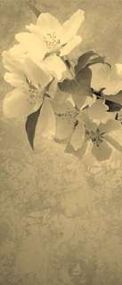 Самоклеющиеся фотообои "Цветение, гранж", 90x210 см, эффект сепия Фотообои.РФ