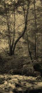 Самоклеющиеся фотообои "Дорожка в лесу", 90x200 см, эффект сепия Фотообои.РФ