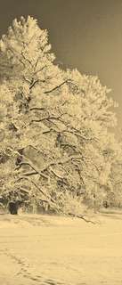 Самоклеющиеся фотообои "Зимний парк в снегу", 90x210 см, эффект сепия Фотообои.РФ