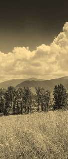 Самоклеющиеся фотообои "Горные травы", 90x210 см, эффект сепия Фотообои.РФ
