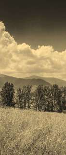 Самоклеющиеся фотообои "Горные травы", 90x210 см, эффект сепия, отраженный Фотообои.РФ
