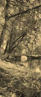 Самоклеющиеся фотообои "Пруд осенью", 90x210 см, эффект сепия Фотообои.РФ