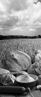 Самоклеющиеся фотообои "Хлеб на фоне поля", 90x210 см, эффект черно-белый Фотообои.РФ