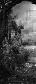 Самоклеющиеся фотообои "Магический лес", 90x210 см, эффект черно-белый Фотообои.РФ