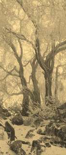 Самоклеющиеся фотообои "Туманный зимний лес", 90x210 см, эффект сепия, отраженный Фотообои.РФ