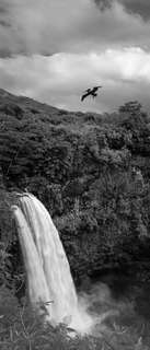 Самоклеющиеся фотообои "Доисторический водопад", 90x210 см, эффект черно-белый Фотообои.РФ