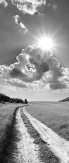 Самоклеющиеся фотообои "Дорога в поле", 90x210 см, эффект черно-белый, отраженный Фотообои.РФ