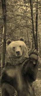 Самоклеющиеся фотообои "Медведь", 90x210 см, эффект сепия, отраженный Фотообои.РФ