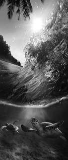 Самоклеющиеся фотообои "Черепахи, волна", 90x210 см, эффект черно-белый Фотообои.РФ