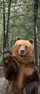 Самоклеющиеся фотообои "Медведь", 90x210 см Фотообои.РФ