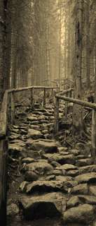 Самоклеющиеся фотообои "Каменная дорожка", 90x210 см, эффект сепия Фотообои.РФ