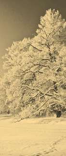Самоклеющиеся фотообои "Зимний парк в снегу", 90x210 см, эффект сепия, отраженный Фотообои.РФ
